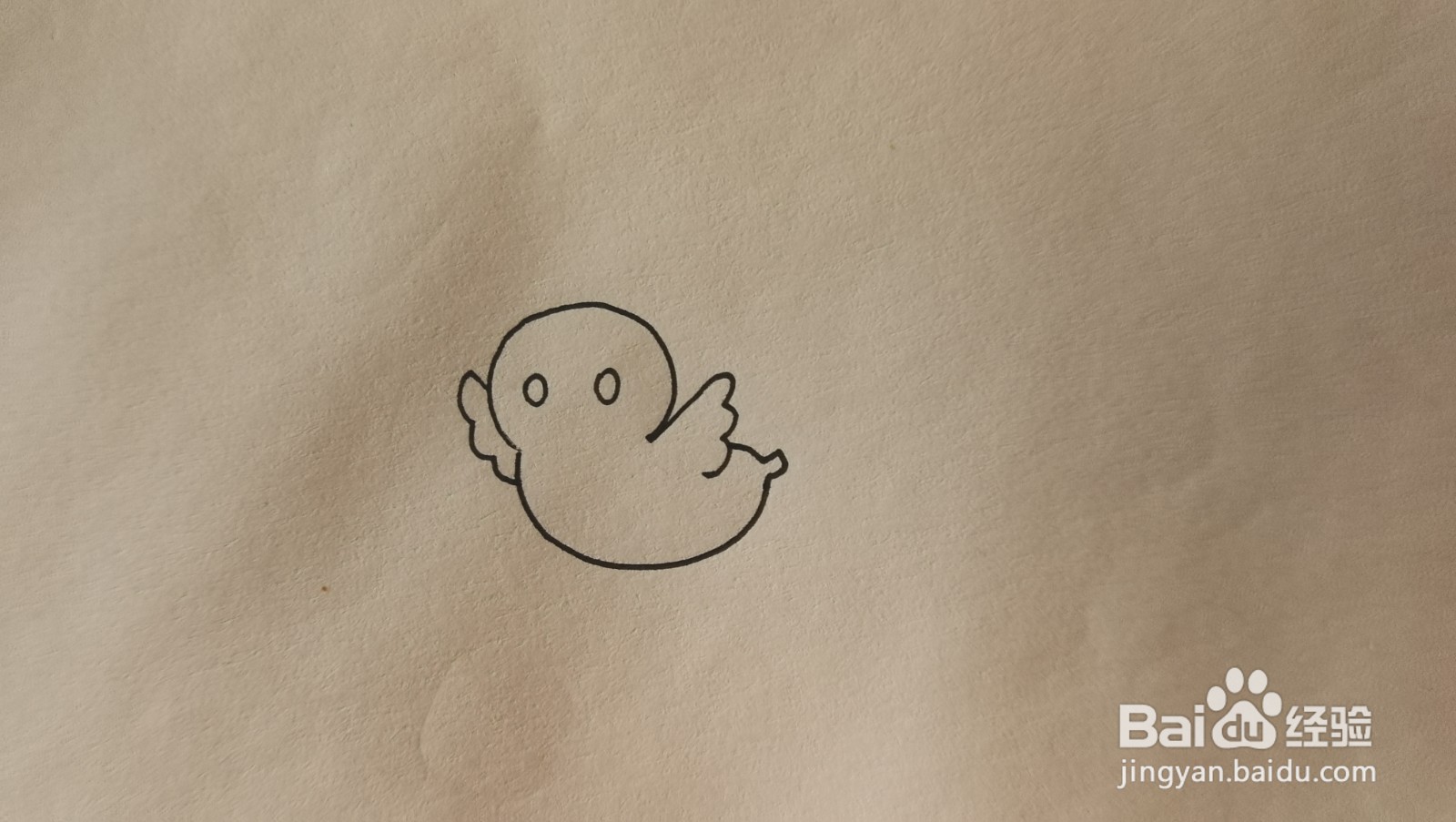 #经验分享官#小鸡的简笔画