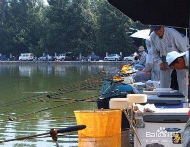 什么是台钓？手钓和悬浮坠钓法与台钓有区别吗