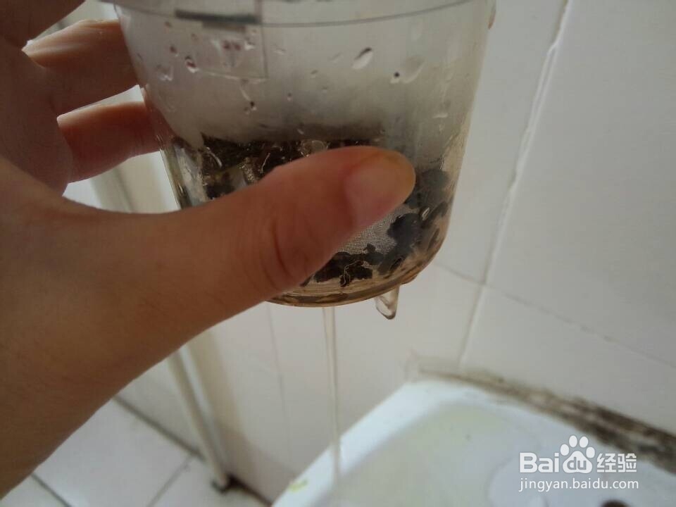怎么用茶壶泡茶
