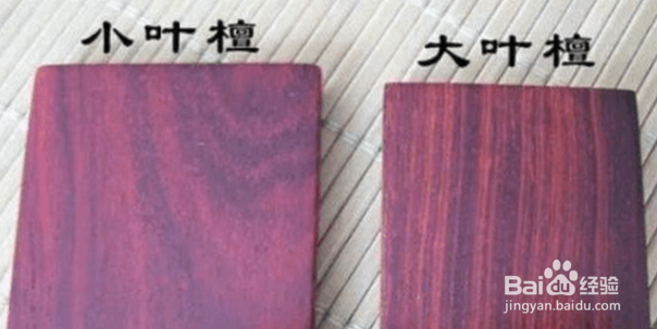 大叶紫檀与小叶紫檀有什么区别