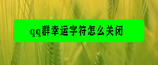 <b>qq群幸运字符怎么关闭</b>