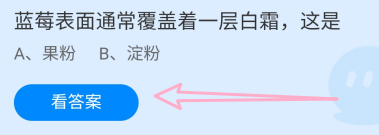 蓝莓表面通常覆盖着一层白霜，这是