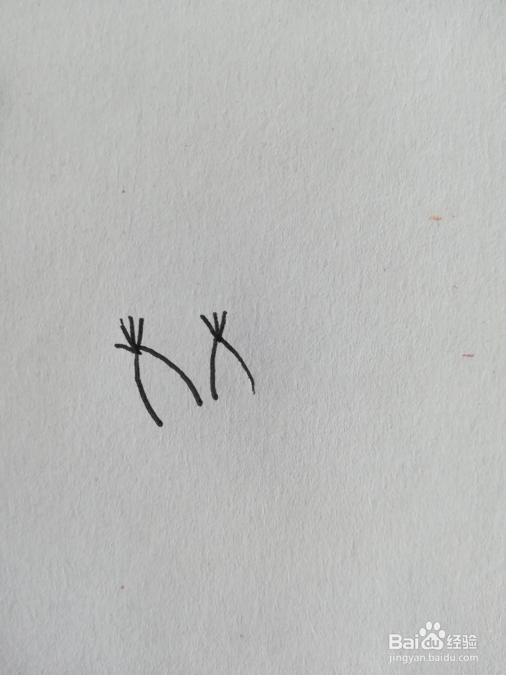怎么画简笔画小松鼠