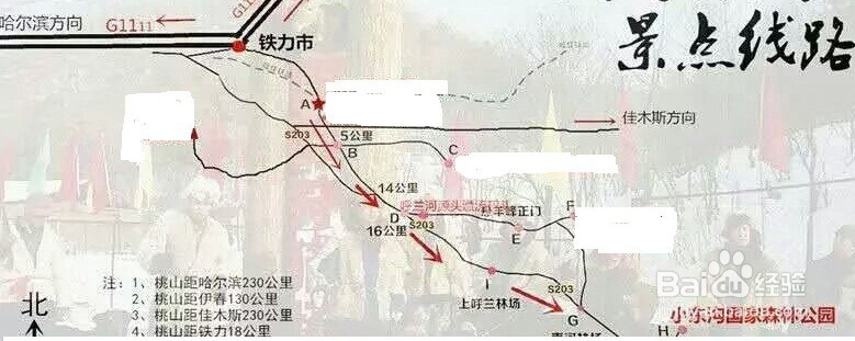 黑龙江东沟原始林景区旅游攻略
