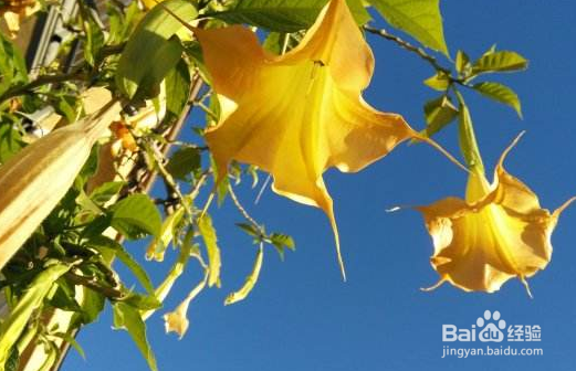 如何应对干燥寒冷的秋冬季？