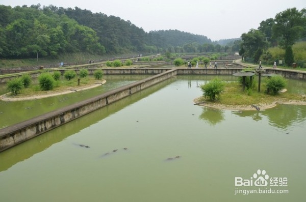 安徽省~宣城市-中国鳄鱼湖-敬亭山风景区自助游