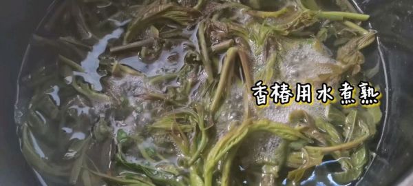 不吃凉拌香椿都不叫在春天