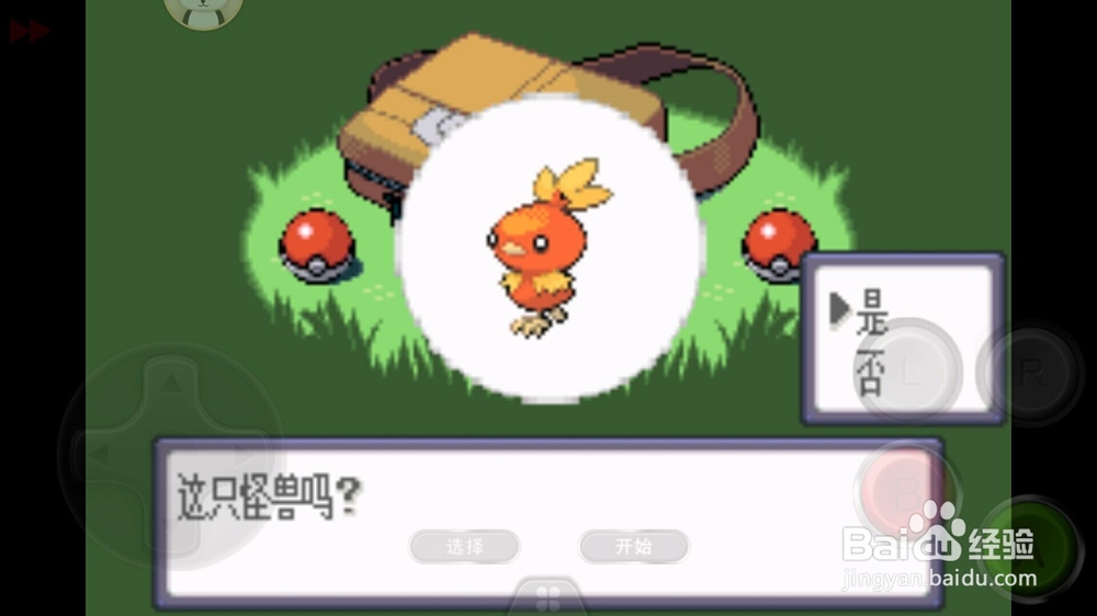 口袋妖怪绿宝石初始精灵小火鸟性格选择