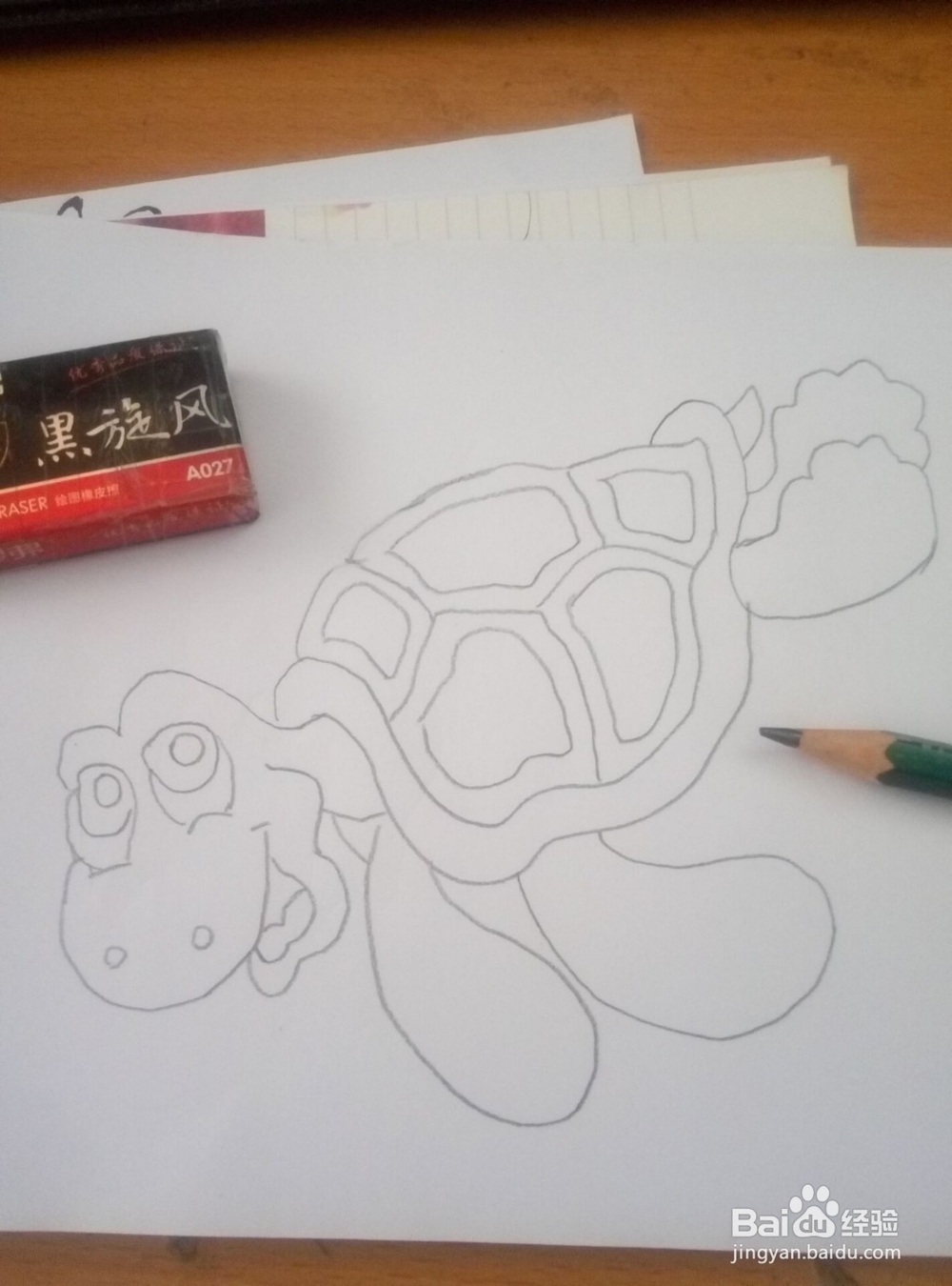 简笔画------海龟（小乌龟）