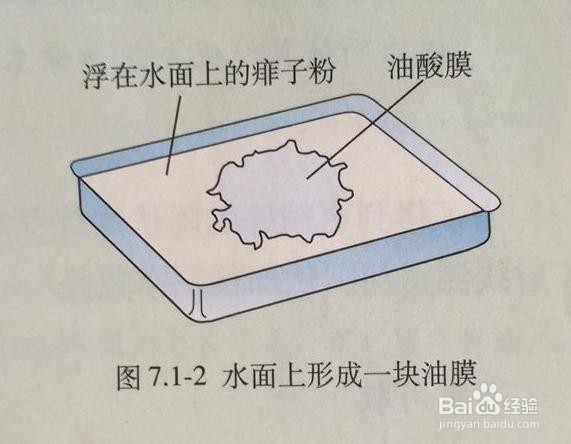 用油膜法测分子大小有哪些实验步骤