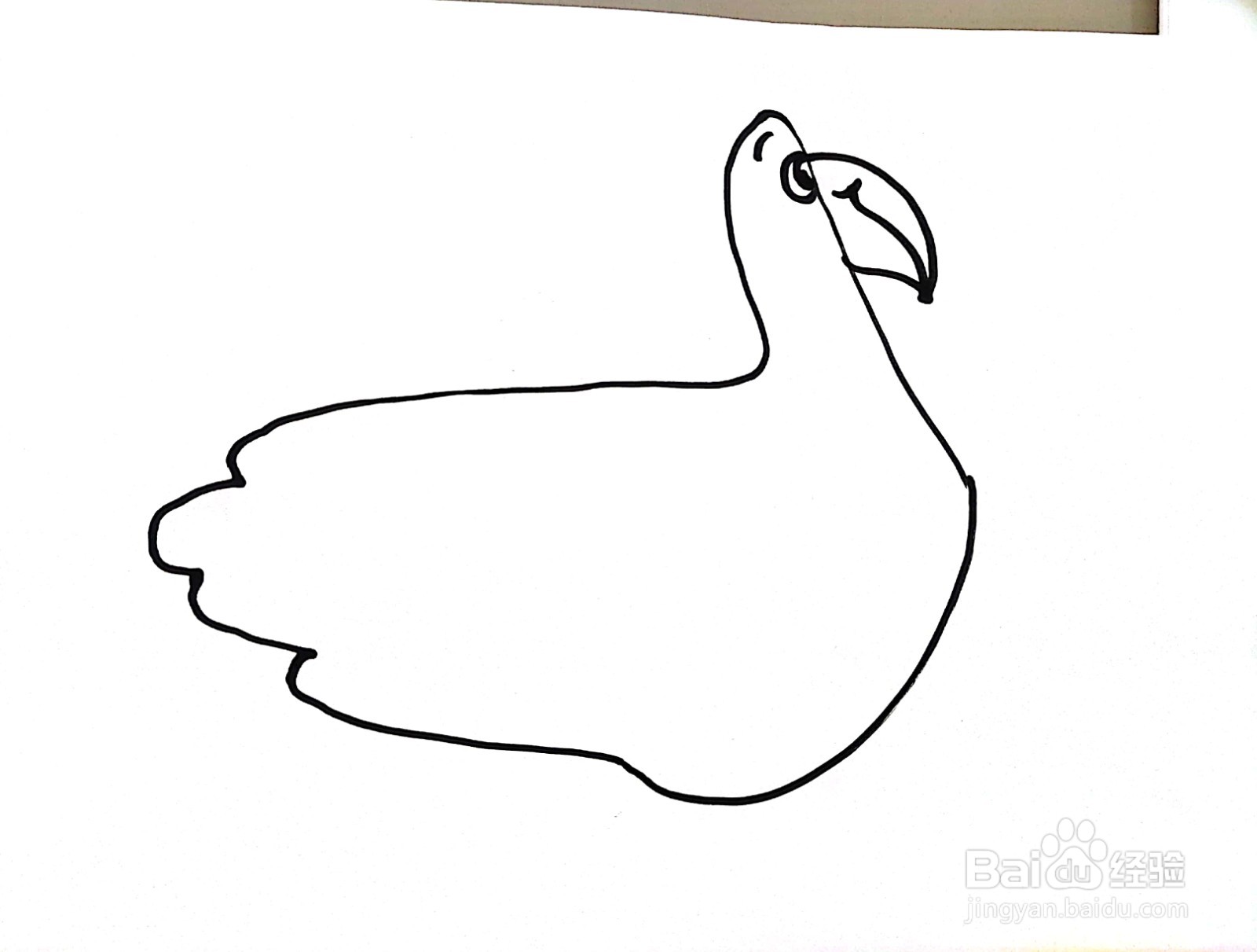 大白鹅线描画怎么画