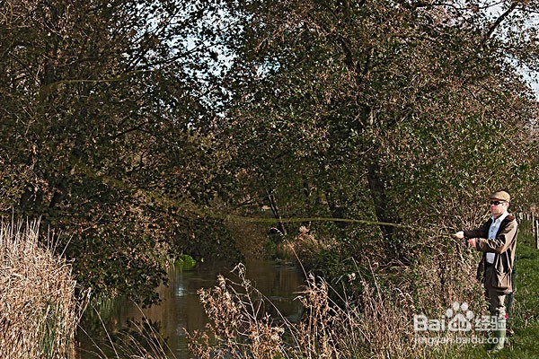 水库钓鱼的难点及应对技巧