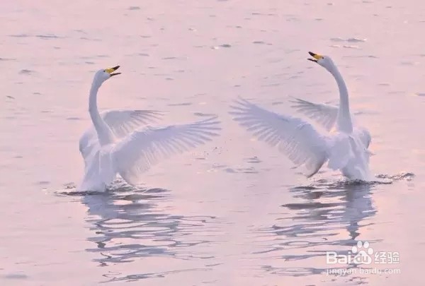 童话美景不只存在书中，看山东现实中的童话影像