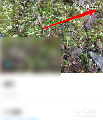 皮玩怎么把个人主页分享到朋友圈