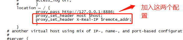 swagger访问接口报no response from server