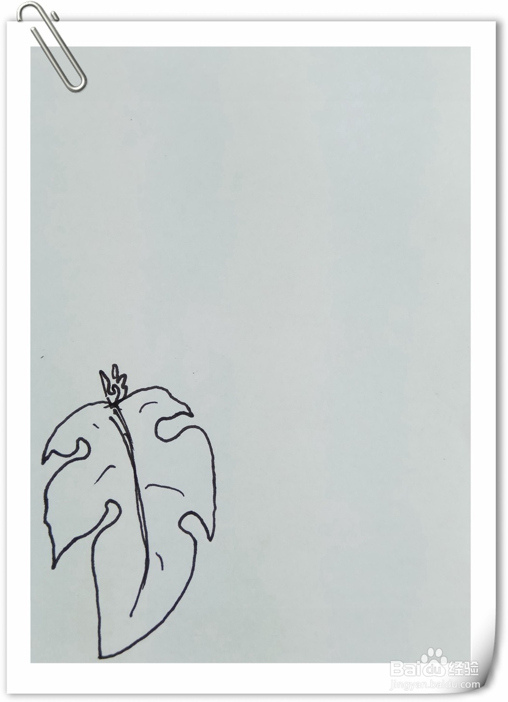 怎样画钢笔画构树叶子？