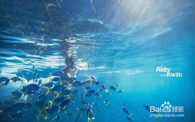 十一免签的高性价比海岛——帕劳旅游攻略