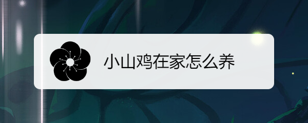 小山鸡在家怎么养