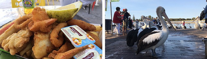 双城记 :悉尼+凯恩斯浪漫之旅