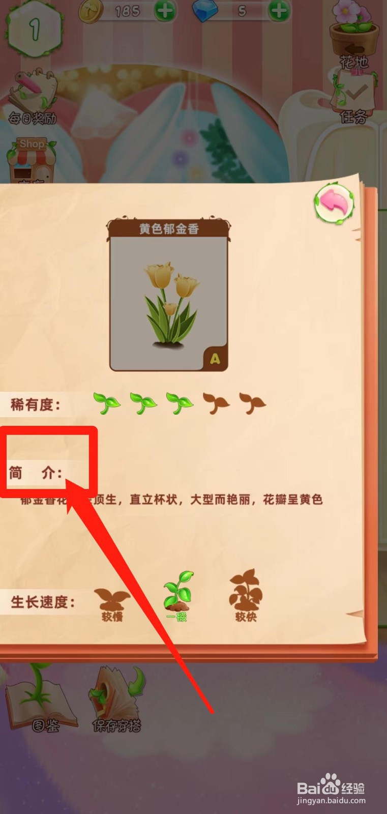 花花姑娘之魔法花园如何查看黄色郁金香简介