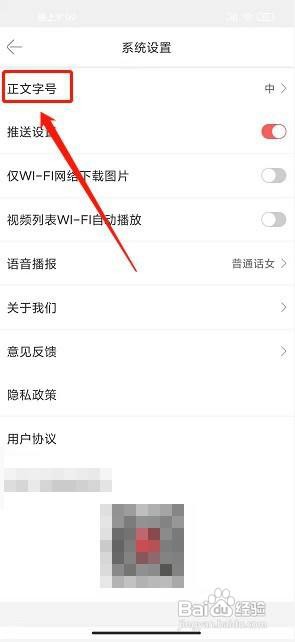 掌尚鹤壁app怎样设置正文字号