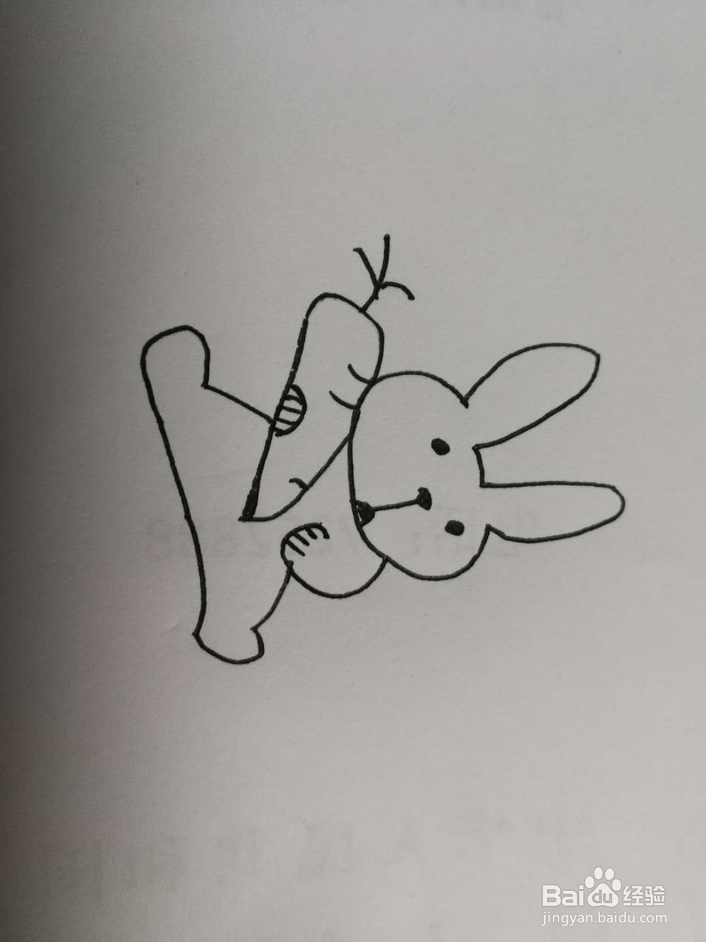 简笔画抱着萝卜的兔子