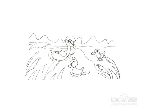 一笔一笔教你画水中嬉戏的鸭子水彩画