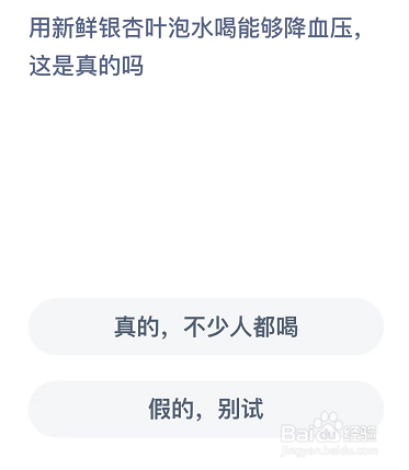 用新鲜银杏叶泡水喝能够降血压,这是真的吗