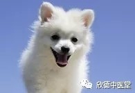 过敏性鼻炎和感冒的预防方法有哪些?