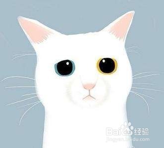 微商代理怎么做，微商怎么做赚钱