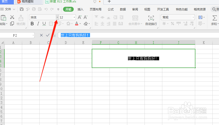 Excel表格中，怎么设置字体的格式？