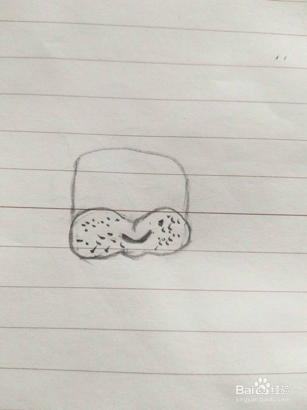 简笔画狮子怎么画呢