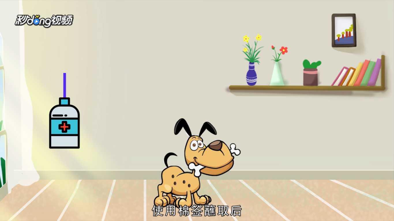 狗狗身上有跳蚤怎么办