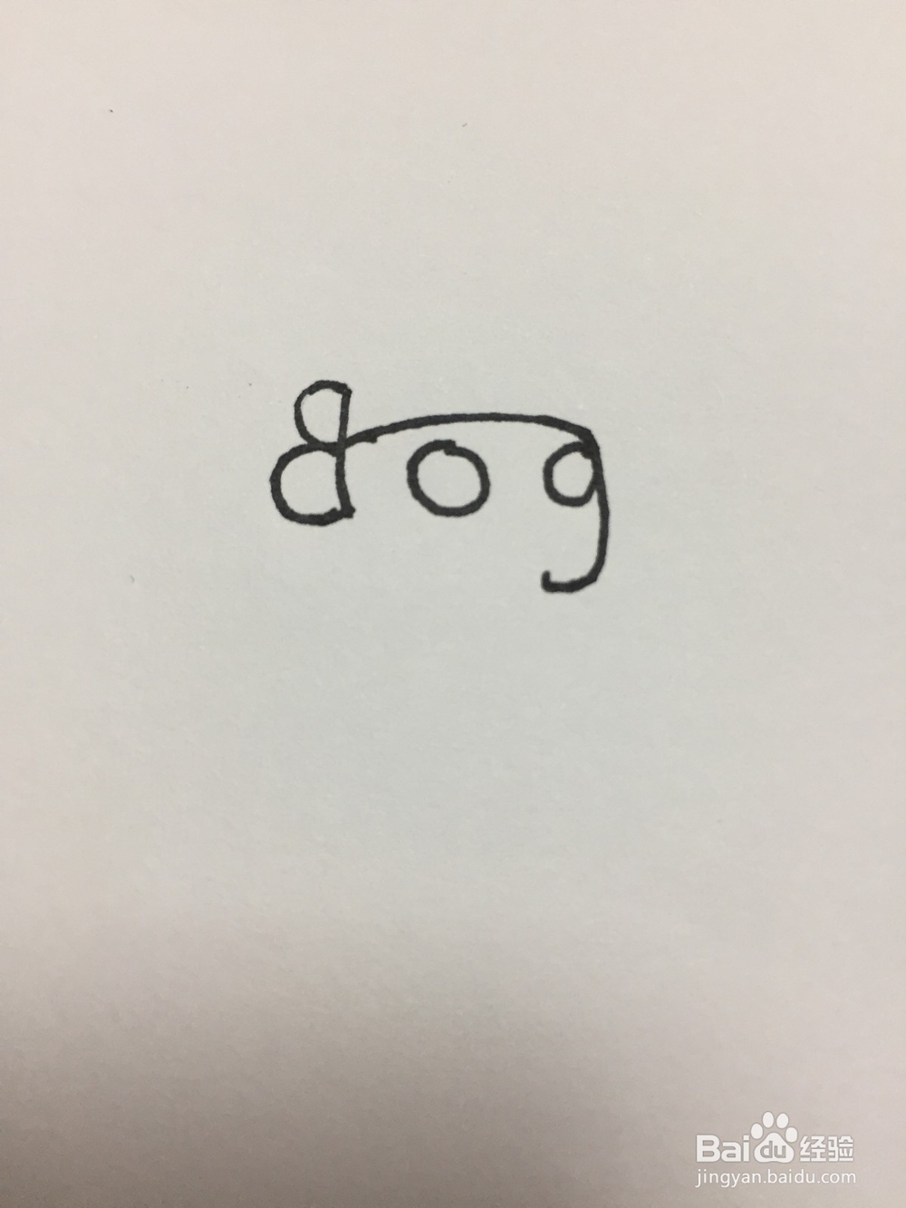 用英文dog画狗狗