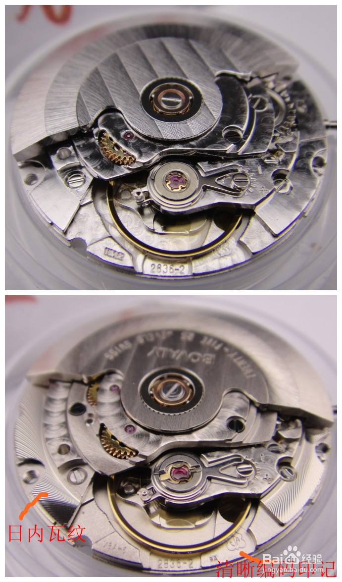 表帝分享实拍图鉴别ETA2836机芯真仿