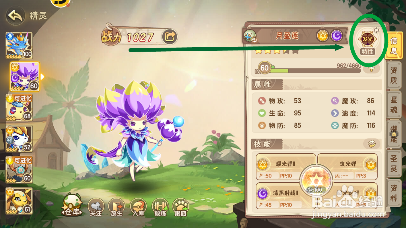 西普大陆月盈莲的【发光】特性有什么效果？