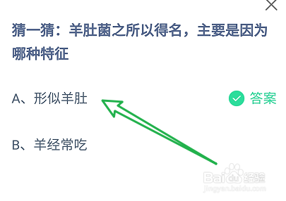 蚂蚁庄园：羊肚菌之所以得名主要是因为哪种特征