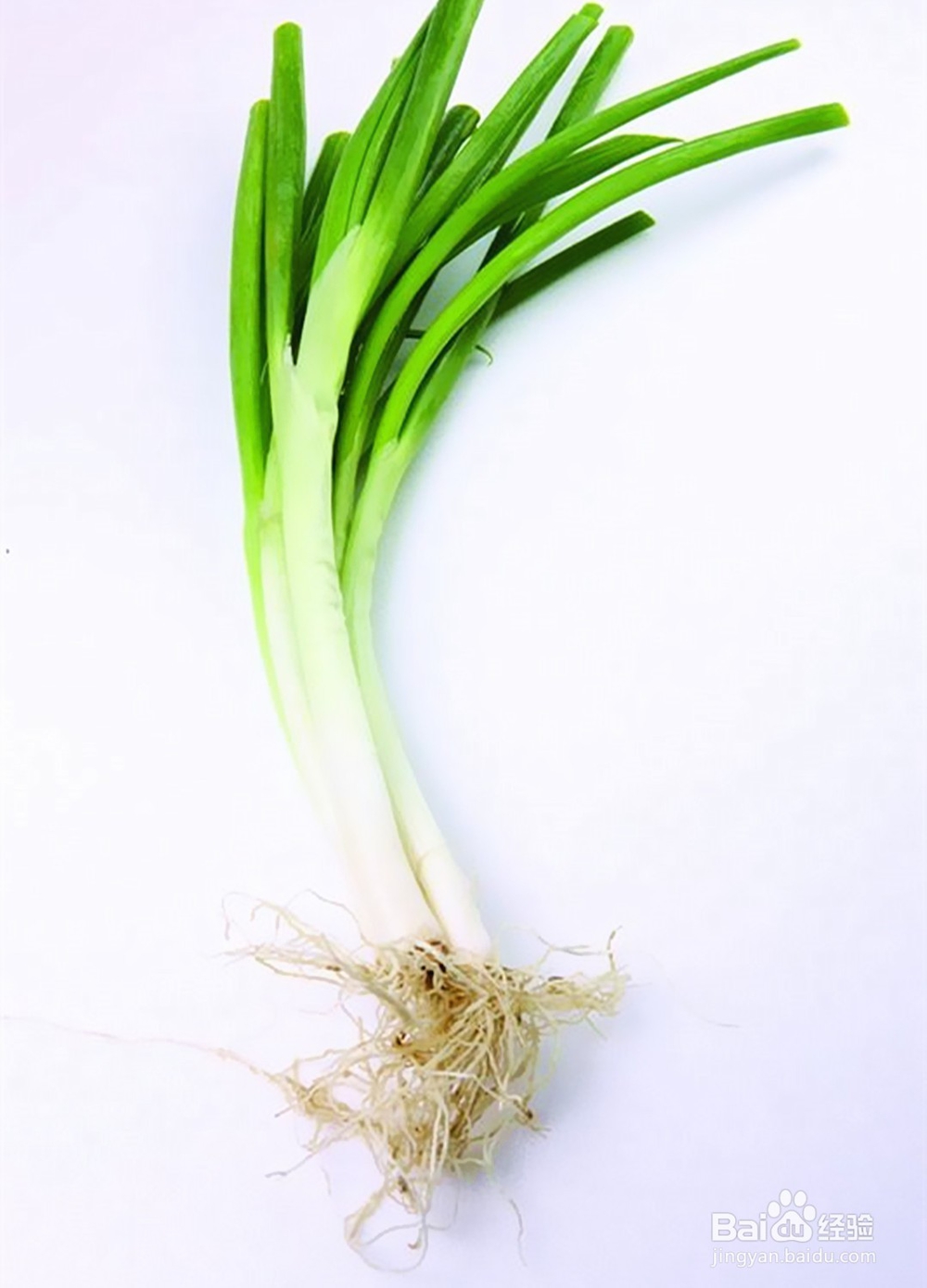 在家做海带排骨汤美容护肤减肥排毒