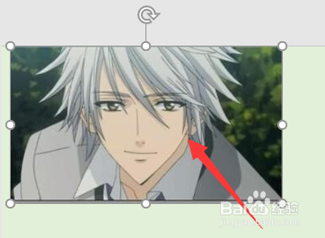 ppt图片怎么裁剪