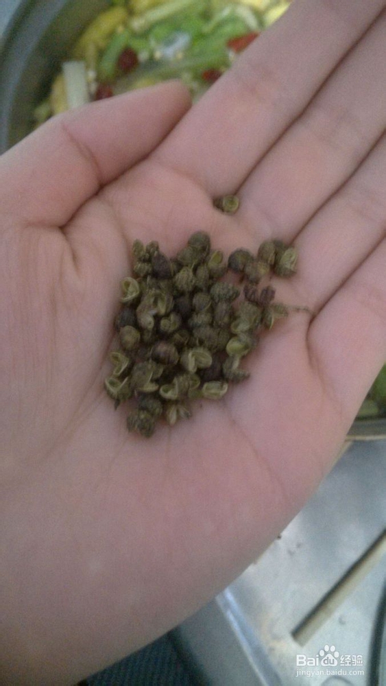 自制山椒泡凤爪（香辣）