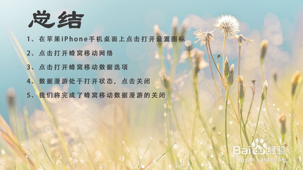 苹果iPhone手机怎样关闭蜂窝移动数据漫游？