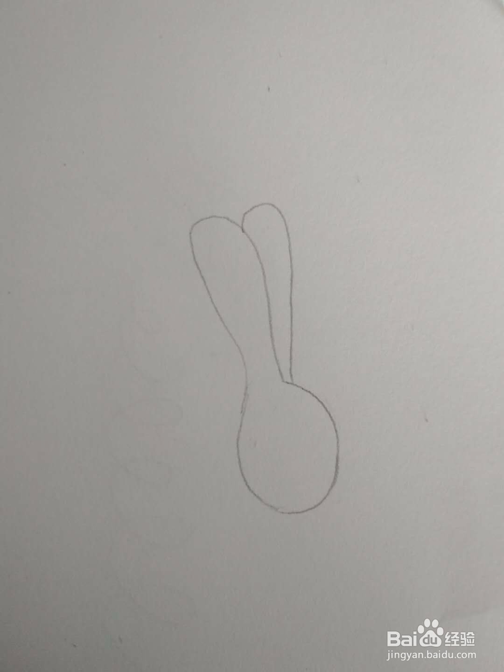 多妈简笔画动物一只顽皮的小毛驴