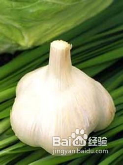 结肠癌发病的相关因素是什么