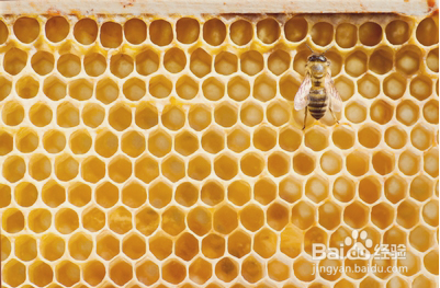 男生如何去黑头