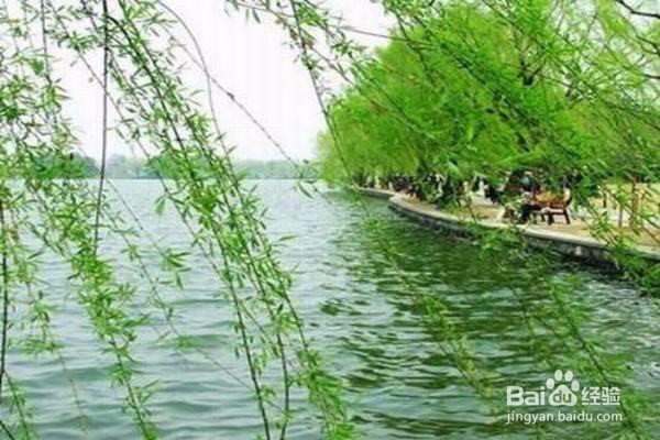 心绪烦乱时怎样自我调节？