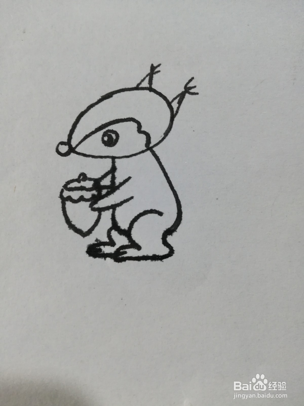 怎么画可爱的小松鼠的简笔画呢