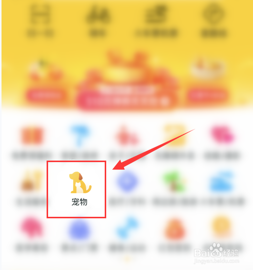宠物怎么安葬