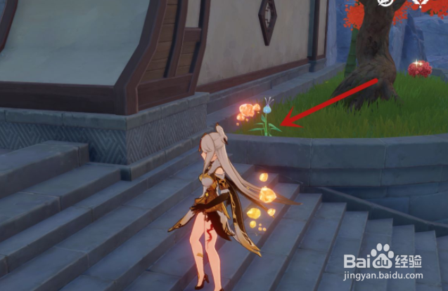 原神琉璃百合获取位置攻略