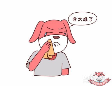 熬夜、失眠……身体仿佛被掏空你的睡眠问题该解决了！
