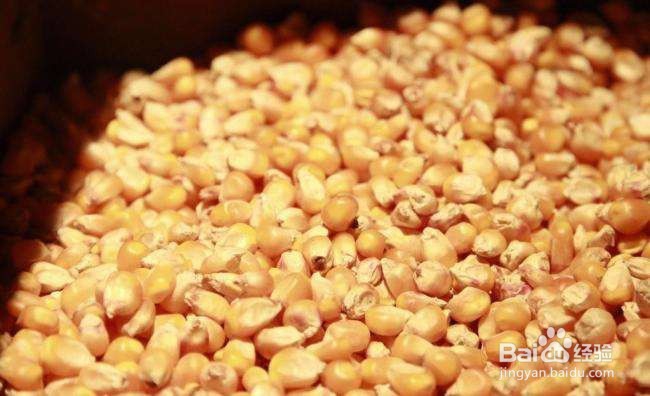 新鲜玉米怎么制作窝料